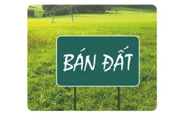 Bán đất ngõ 54 Tôn Thất Tùng, 46m2, chỉ 3.5 tỷ